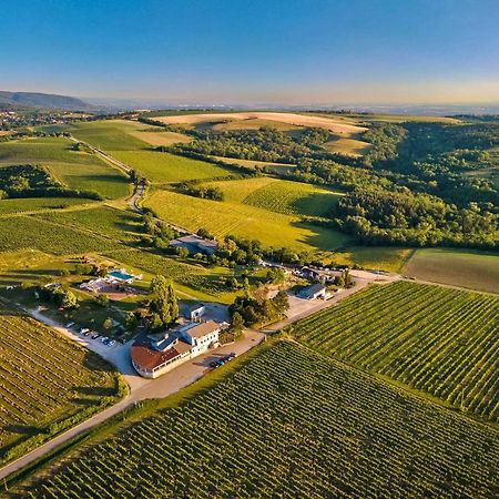 ホテル Hilltop Borbirtok & Etterem Neszmély エクステリア 写真