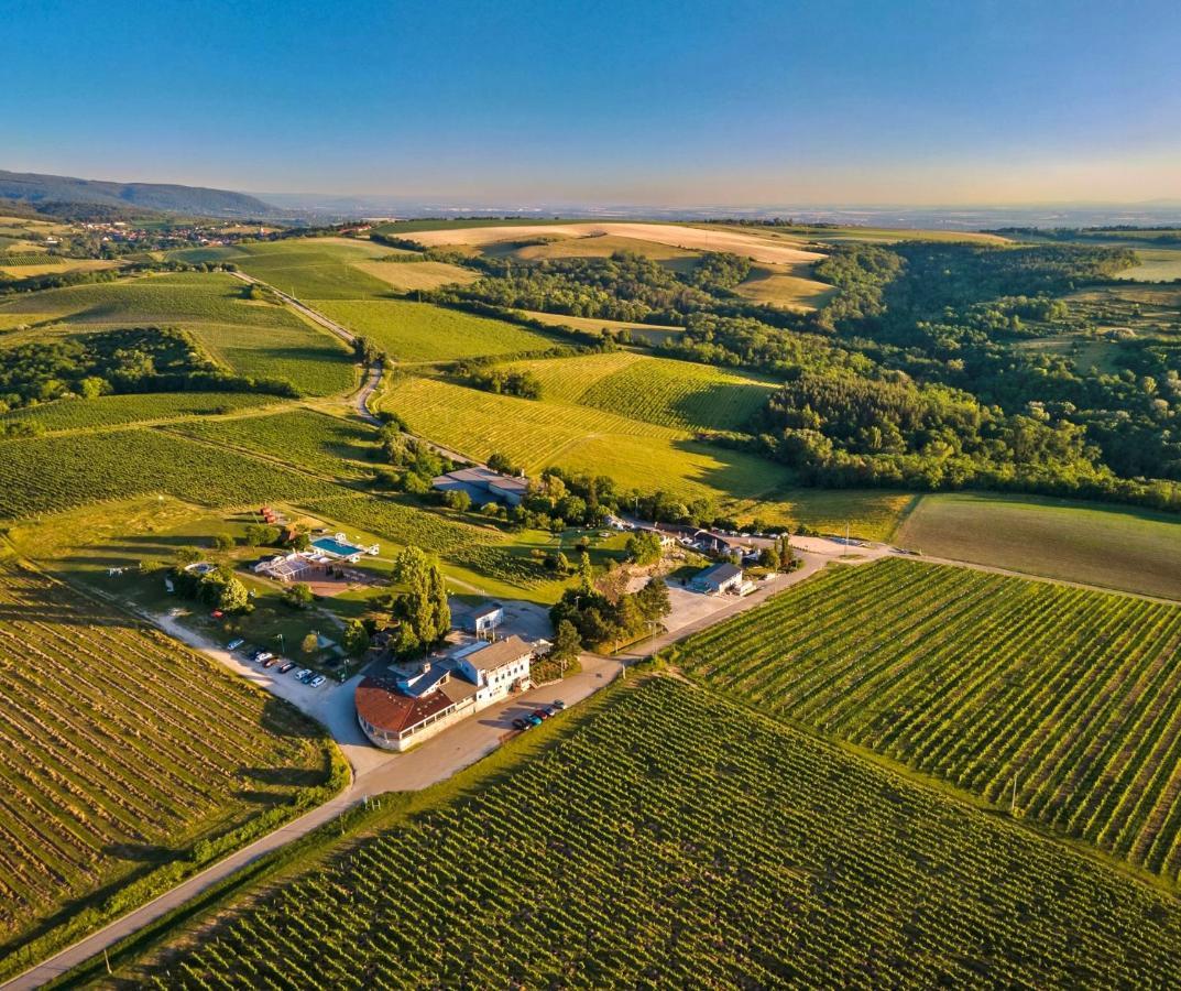 ホテル Hilltop Borbirtok & Etterem Neszmély エクステリア 写真